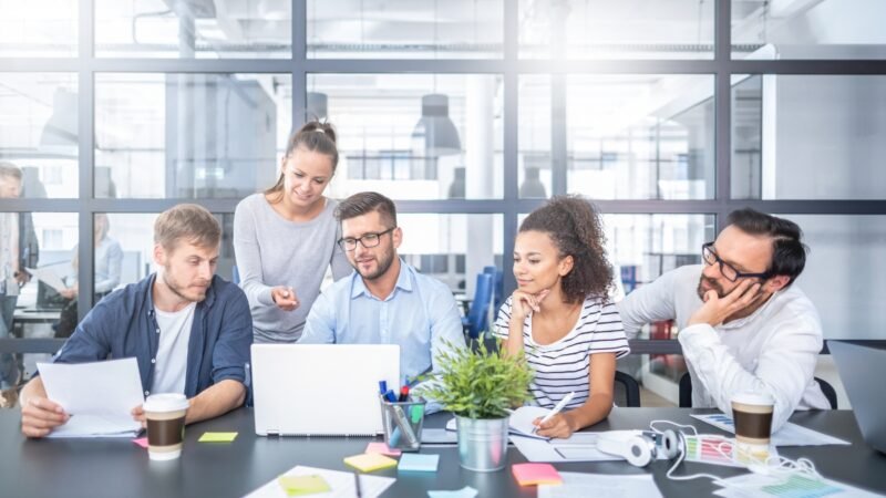 Tender Manual In South Africa